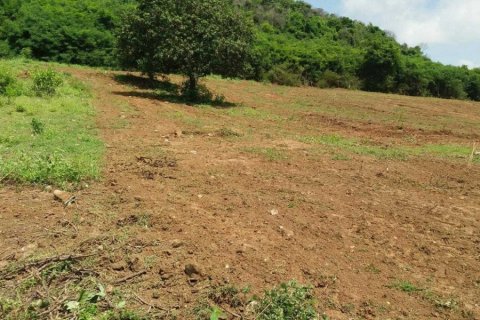 Terreno en Pran Buri, Tailandia № 168402 - foto 9