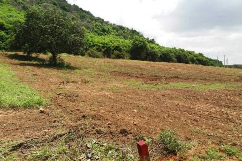 Terreno en Pran Buri, Tailandia № 168402 - foto 7