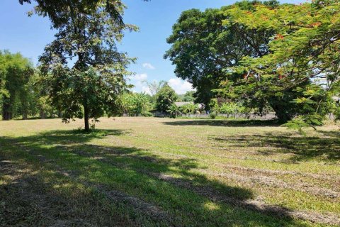 Terreno en Chiang Mai, Tailandia № 220501 - foto 4
