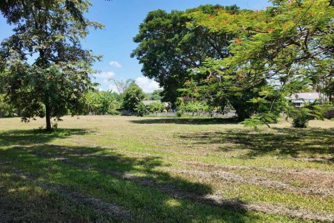 Terreno en Chiang Mai, Tailandia № 220501 - foto 2