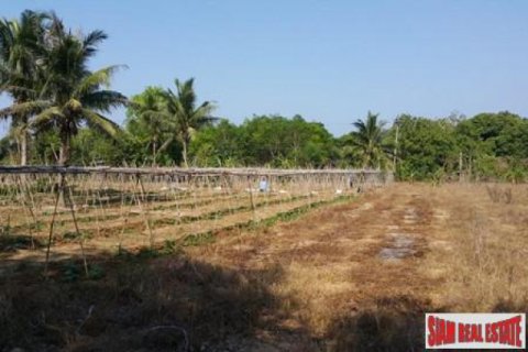 Studio in Mai Khao, Thailand № 202544