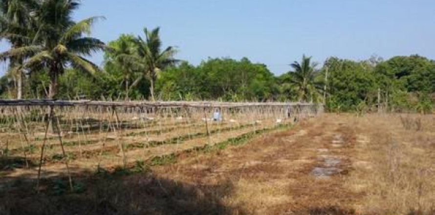 Estudio en Mai Khao, Tailandia № 202544