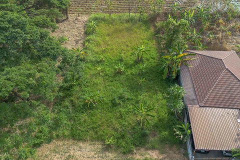 Terreno en Chiang Mai, Tailandia № 205507 - foto 3
