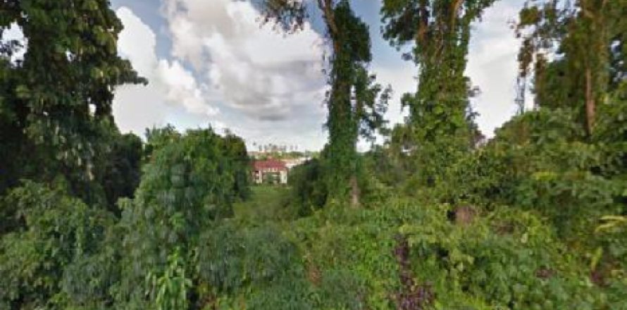 Terreno 11096 m2 en Rawai, Tailandia № 202660