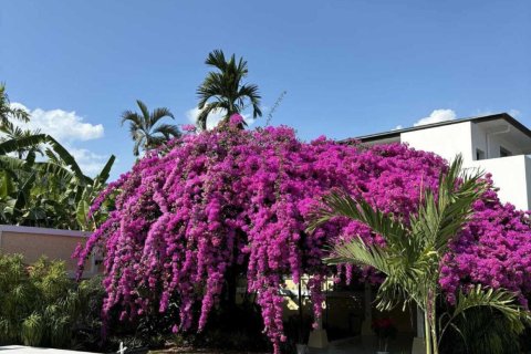 Casa de 3 dormitorios en Phuket, Tailandia № 159374 - foto 9