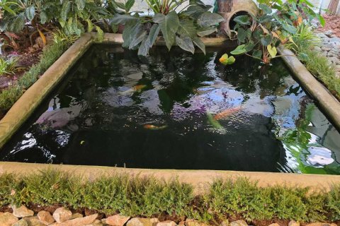 Casa de 3 dormitorios en Phuket, Tailandia № 159374 - foto 4