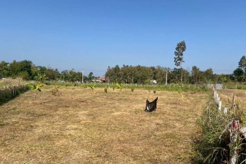 Land in Mae Rim, Thailand № 152338 - photo 4