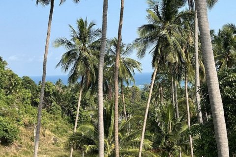 Chalet de 3 dormitorios en Ko Samui, Tailandia № 180224 - foto 7