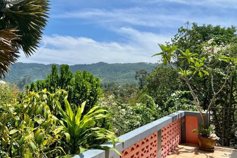 Grundstück in Ko Samui, Thailand 2500 m2 № 172488