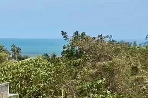 Grundstück in Ko Samui, Thailand 450 m2 № 172490