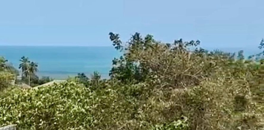 Land in Ko Samui, Thailand 450 sq.m. № 172490
