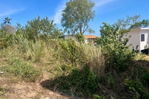 Land in Ko Samui, Thailand 450 sq.m. № 172490 - photo 2