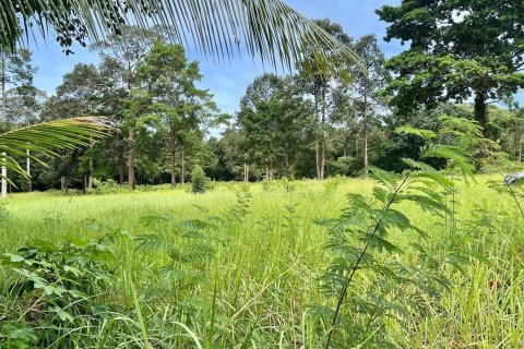 Land in Ko Samui, Thailand 2696 sq.m. № 172489 - photo 2