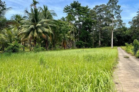 Grundstück in Ko Samui, Thailand 2696 m2 № 172489
