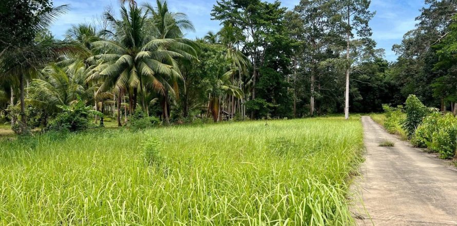 Land in Ko Samui, Thailand 2696 sq.m. № 172489