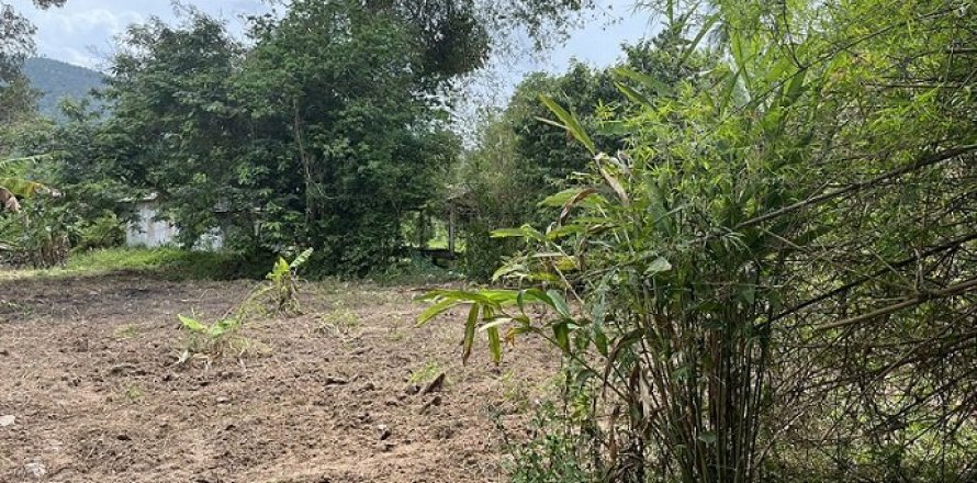 Terreno 800 m2 en Ko Samui, Tailandia № 203719