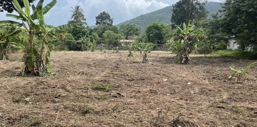 Terreno 4000 m2 en Ko Samui, Tailandia № 203720