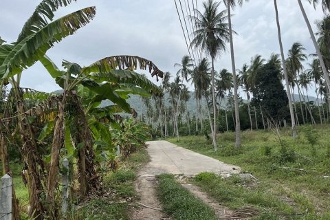 Terreno 4000 m2 en Ko Samui, Tailandia № 203720 - foto 2
