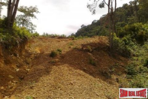 Terreno 11700 m2 en Ko Lanta Yai, Tailandia № 202576 - foto 3