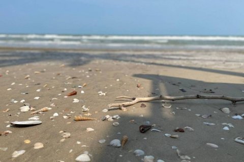Grundstück in Prachuap Khiri Khan, Thailand № 134660 - Foto 4