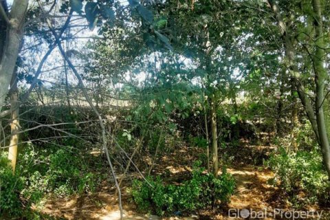Terreno en Rayong, Tailandia № 163984 - foto 5