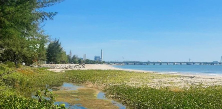 Terreno en Rayong, Tailandia № 163984
