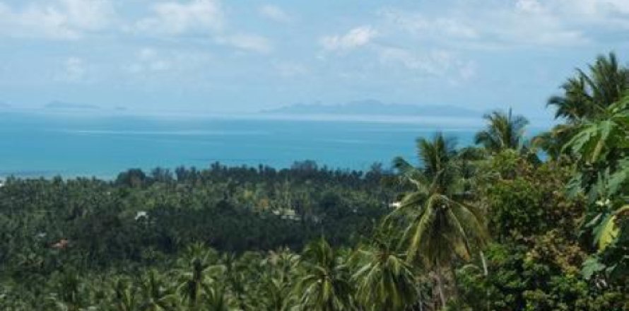 Terreno 11636 m2 en Ko Samui, Tailandia № 202562