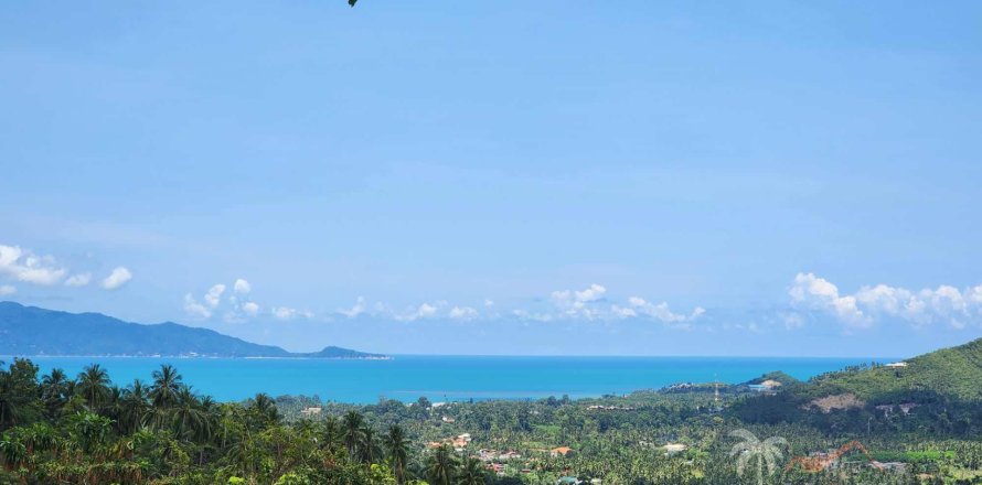 Studio in Ko Samui, Thailand № 180106