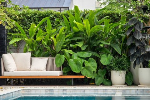 Villa in Bang Lamung, Thailand 4 bedrooms № 222721 - photo 3