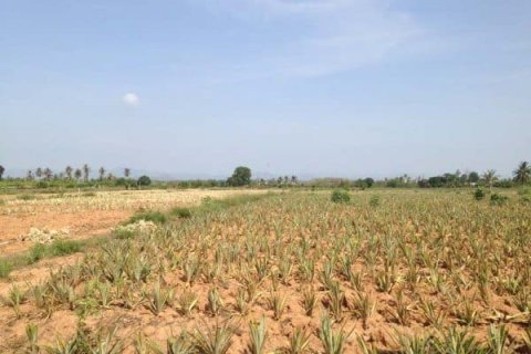 Terreno en Hua Hin, Tailandia № 168471 - foto 9