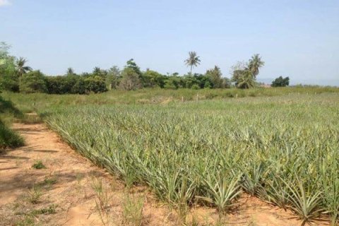 Terreno en Hua Hin, Tailandia № 168471