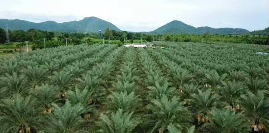 Terreno en Tha Yang, Tailandia № 135155