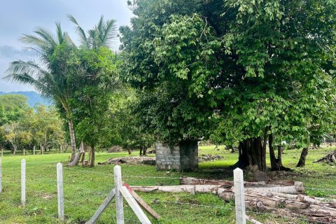 Grundstück in Ko Samui, Thailand 6000 m2 № 172460