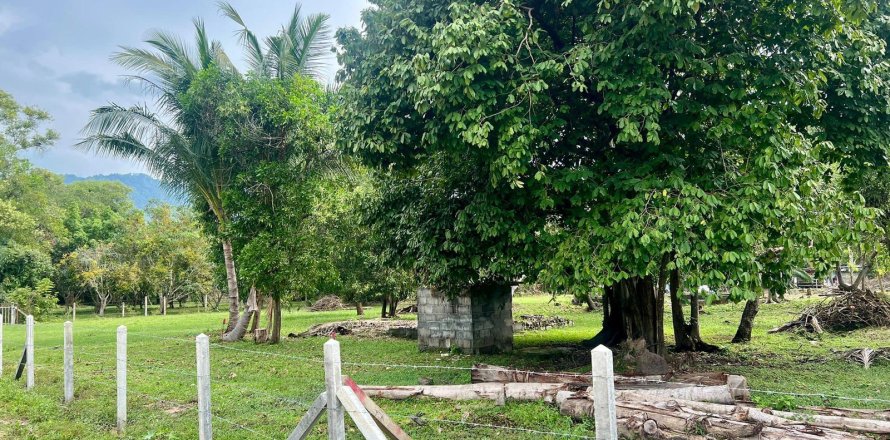 Terreno 6000 m2 en Ko Samui, Tailandia № 172460