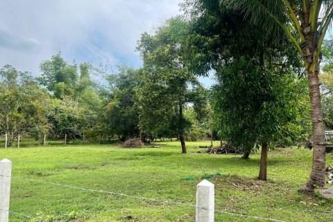 Terreno 6000 m2 en Ko Samui, Tailandia № 172460 - foto 3