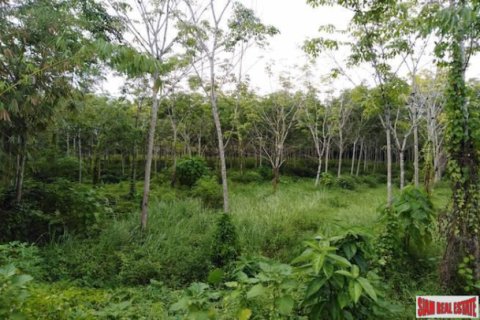 Terreno 27200 m2 en Phang Nga, Tailandia № 202947