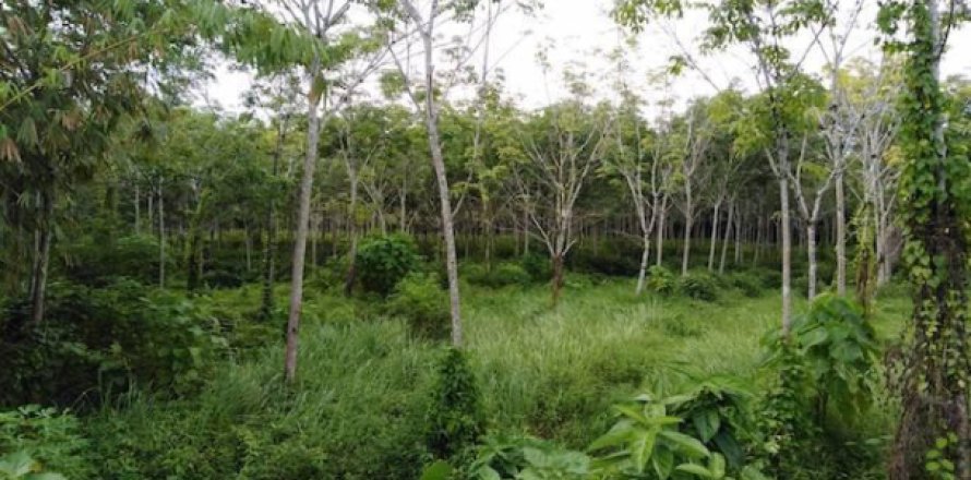 Terreno 27200 m2 en Phang Nga, Tailandia № 202947