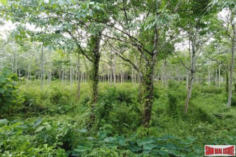 Terreno 27200 m2 en Phang Nga, Tailandia № 202947 - foto 3