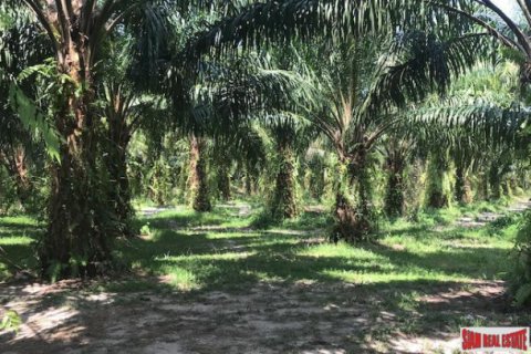 Terreno 153600 m2 en Phang Nga, Tailandia № 202948