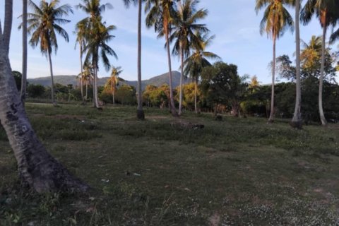 Grundstück in Surat Thani, Thailand № 146762