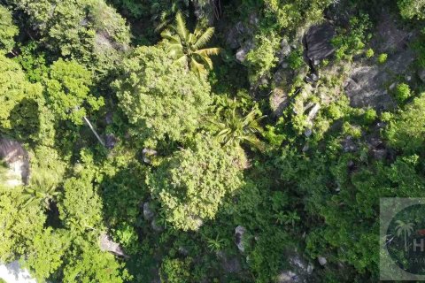 Grundstück auf Chaweng Beach, Ko Samui, Thailand 7398 m2 № 180264 - Foto 5