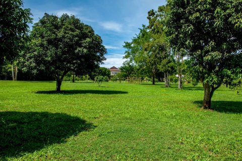 Haus in Prachinburi, Thailand 7 Schlafzimmer № 180562 - Foto 12