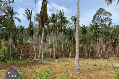 Land in Ko Samui, Thailand 14400 sq.m. № 180072 - photo 4
