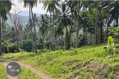 Land in Ko Samui, Thailand 14400 sq.m. № 180072 - photo 3
