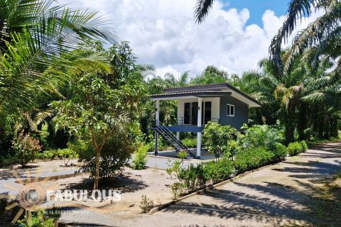 Propriété commerciale à Krabi, Thaïlande № 179502 - photo 22