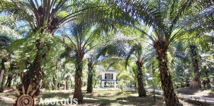 Propriété commerciale à Krabi, Thaïlande № 179502