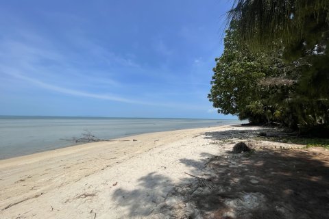 Grundstück in Ko Samui, Thailand 1400 m2 № 180332