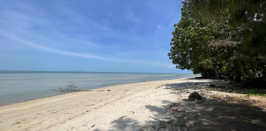Grundstück in Ko Samui, Thailand 1400 m2 № 180332