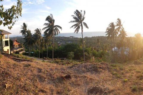 Terreno en Surat Thani, Tailandia № 116757