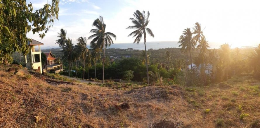 Terreno en Surat Thani, Tailandia № 116757